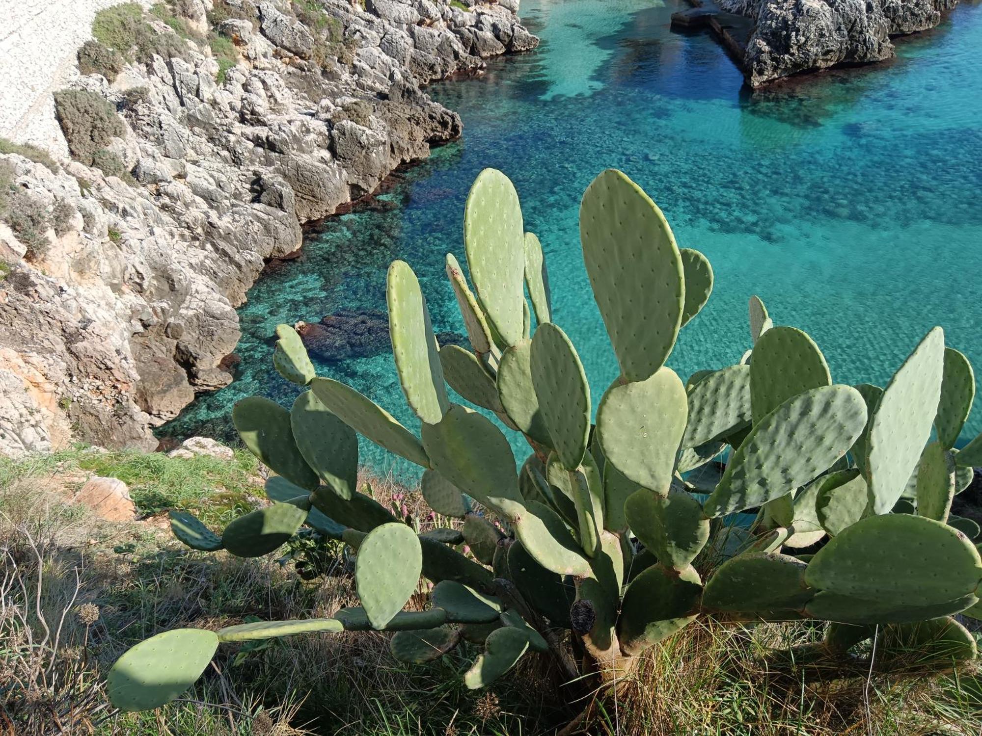 Casa Vacanze Lepanto Castro  Εξωτερικό φωτογραφία